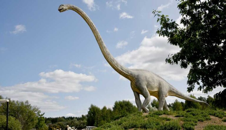 langhälse dinosaurier