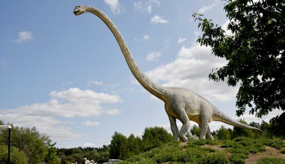 langhälse dinosaurier