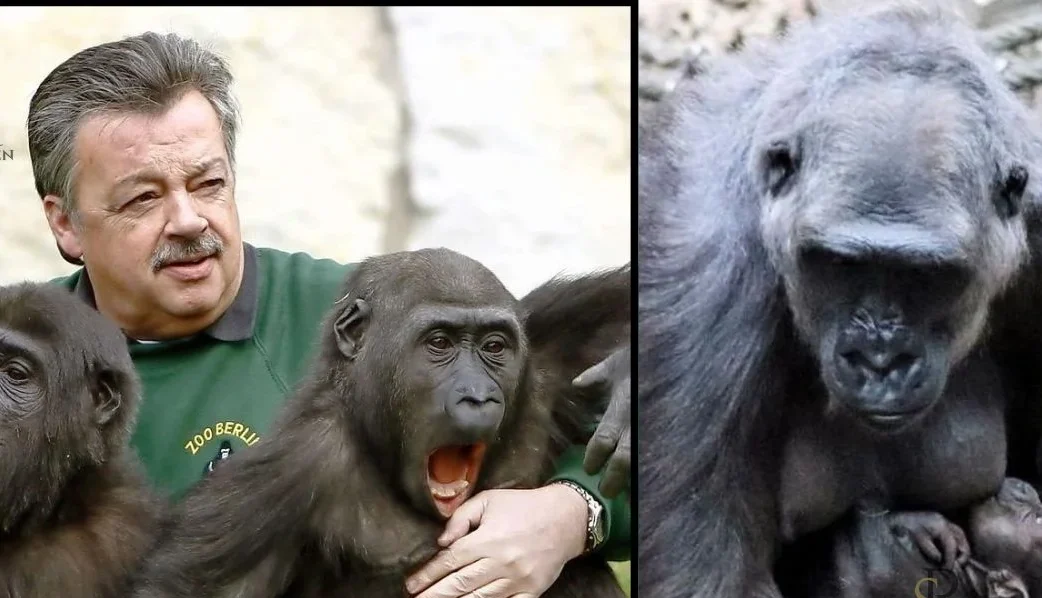 tierpfleger zoo leipzig gestorben
